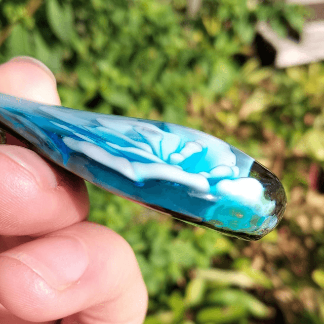 Sky Blue Carnation 