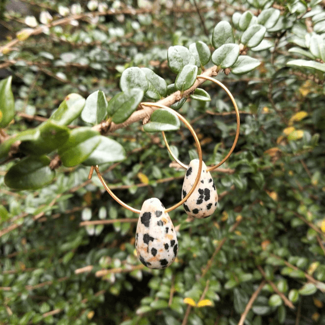 Dalmatian Jasper