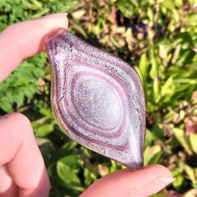 Red Onion